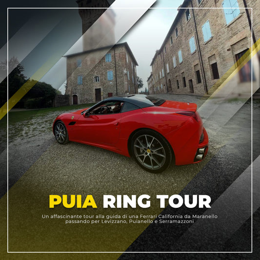 Puia Ring Tour